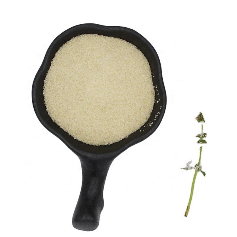 Professional Halal Edible Gelatina Food Grade Gelatin Powder 180bloom with Best Price